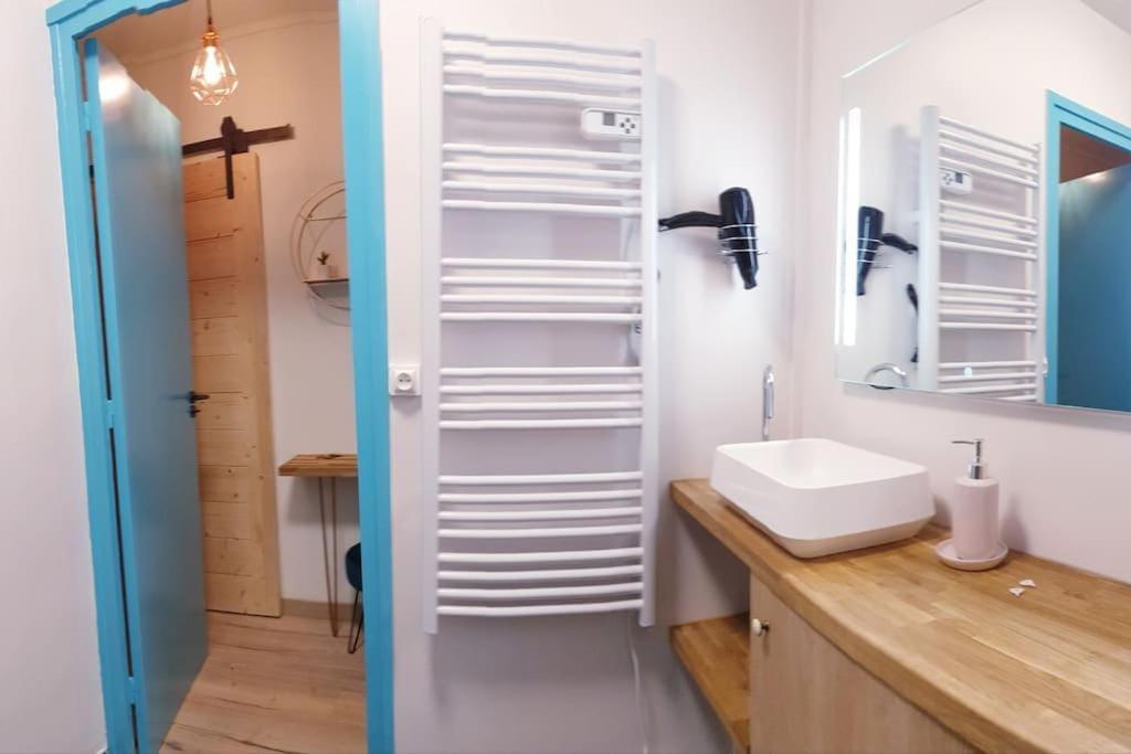 Paul Janet Apartment Grenoble Bagian luar foto