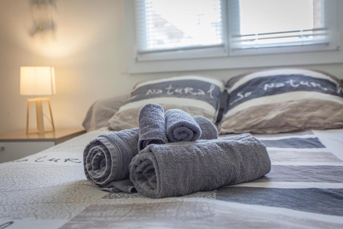 Paul Janet Apartment Grenoble Bagian luar foto